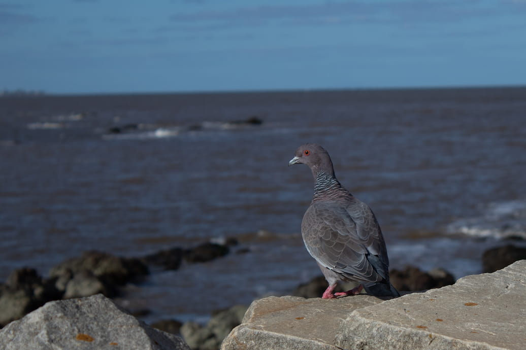 Imagen naturaleza